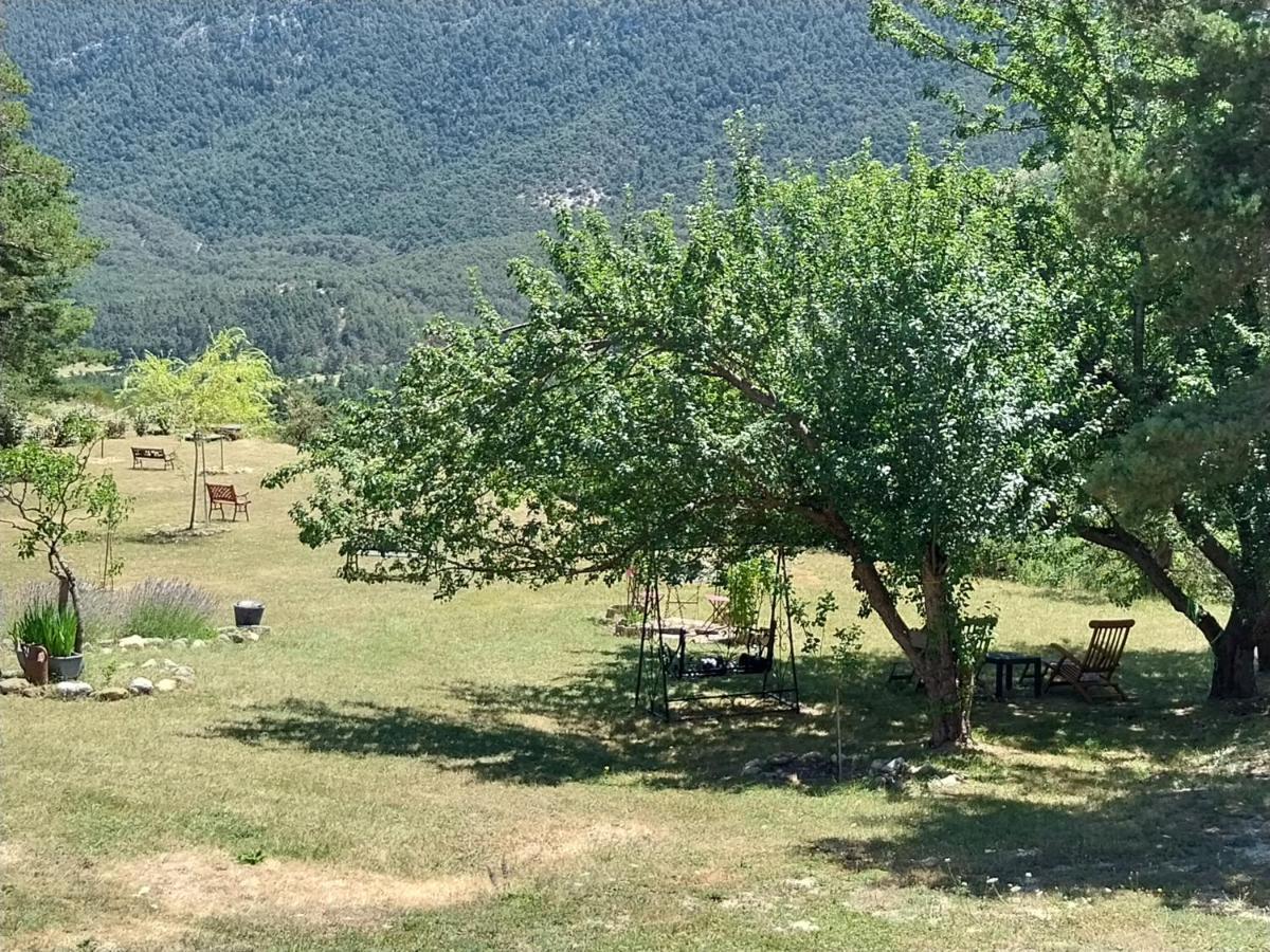 Petit Studio Dans La Prairie Saint-Auban  Exteriör bild
