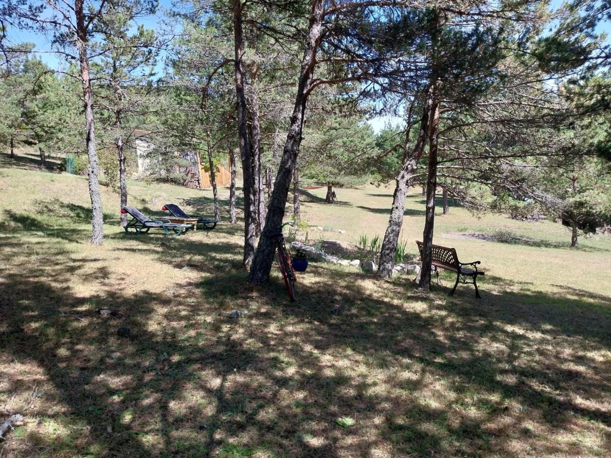 Petit Studio Dans La Prairie Saint-Auban  Exteriör bild